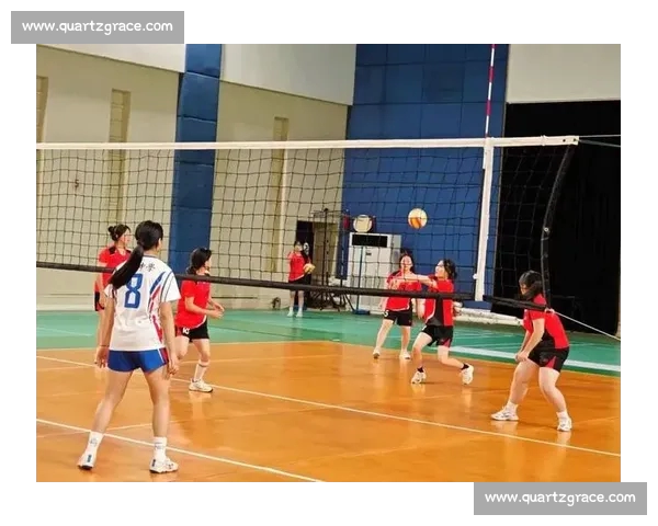 精彩排球对决直播全程呈现 热血赛场每一刻不容错过