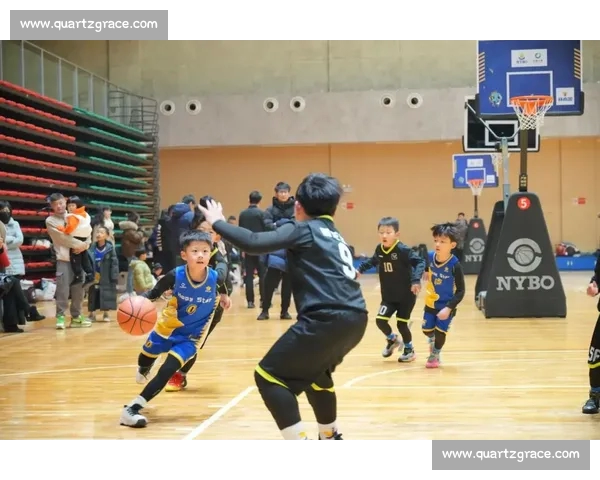 全程篮球赛事直播入口，实时比分和精彩赛事抢先看